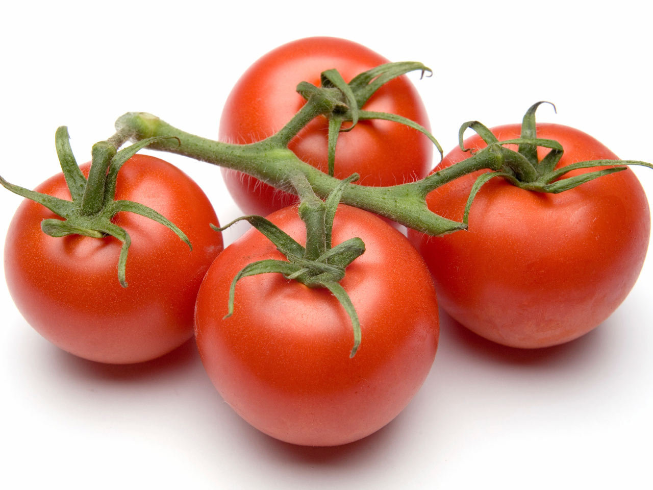 Как вырастить помидоры в домашних условиях и в теплице