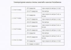 Отмена занятий Челябинск: какие классы не будут учиться, до какого числа, температурная шкала