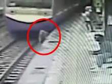 Попавший под колеса поезда китайский пенсионер остался в живых
