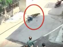 Леопард заблудился в индийском городе и начал нападать на людей