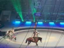 Акробата затоптала лошадь во время шоу в Москве