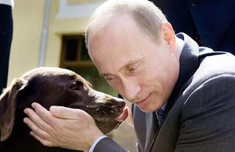 Новости дня: Задержан "друг Кудрина" и владелец лабрадора, подаренного Путиным