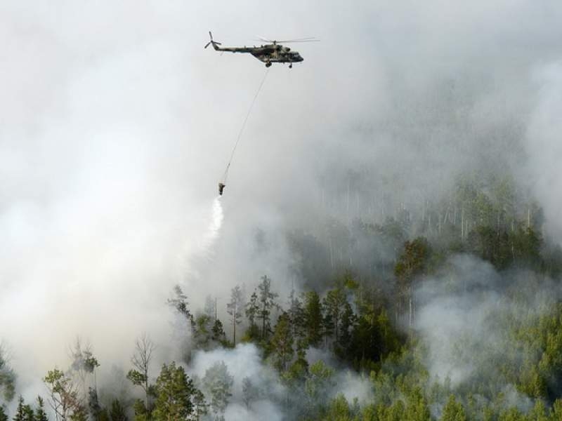 Новости дня: Стала известна основная причина пожаров в Сибири