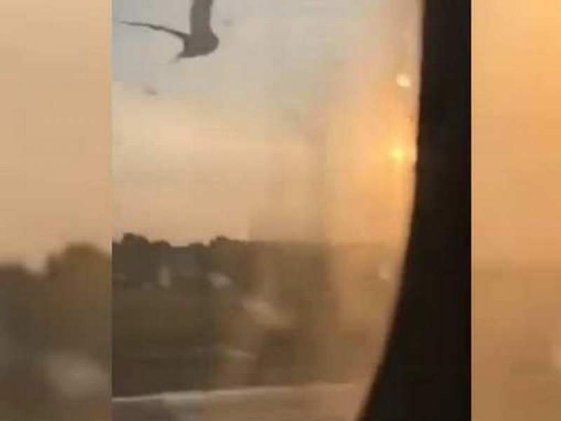 Новости дня: Момент столкновения самолета А321 с птицами попал на видео