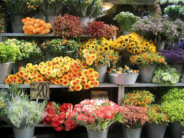 Shop-for-flowers