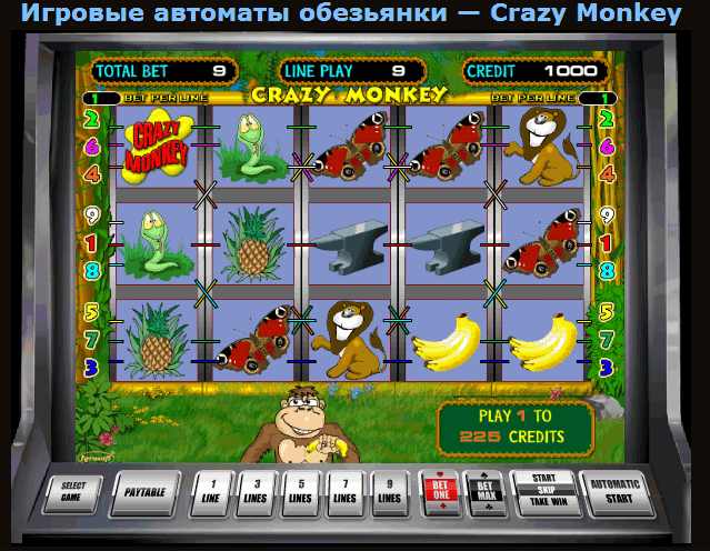 Игры азартные автоматы обезьянки. Игровой автомат обезьяны. Игровые автоматы "стрип слоты". Игровые автоматы где рыбалка.