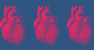В будущем станет возможна регенерация ткани сердца