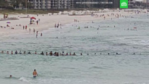 Тонущую у пляжа во Флориде семью спасли с помощью живой цепи