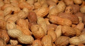 Аллергию на арахис можно лечить - исследование