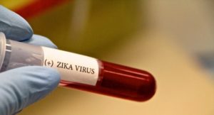 Секрет Зики: Как и почему вирус поражает нерожденных детей?