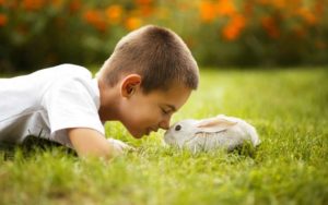 Домашние животные не укрепляют здоровье детей, показало исследование