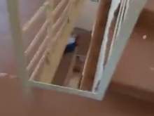 Опубликовано видео внутри керченского колледжа в момент стрельбы