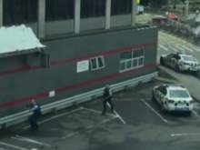 Бойня в Новой Зеландии: экстремист устроил стрельбу в мечетях, 40 погибших