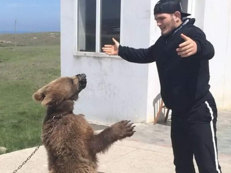 Новости дня: Нурмагомедов возмутил защитников животных видео драки с медведем