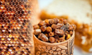 Лечебные свойства пчелиной перги