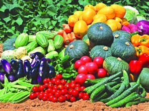 Профессиональные семена овощей. Выращивание с семян овощей