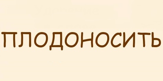 Плодоносящий ударение. Полевской кондитерская фабрика. Слада кондитерская фабрика. Кондитерская фабрика Слада (Слада). Екатеринбургская кондитерская фабрика.