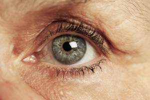 Диагностика и лечение глаукомы глаз