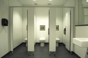 Роль сантехнических перегородок в организации пространства в ванной комнате